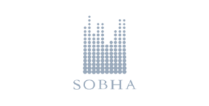 c1-300x152-1.png